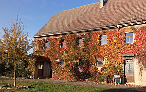 Herbst auf dem Hof