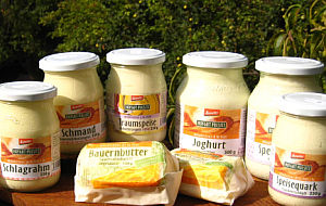 verschiedene Milchprodukte im Glas