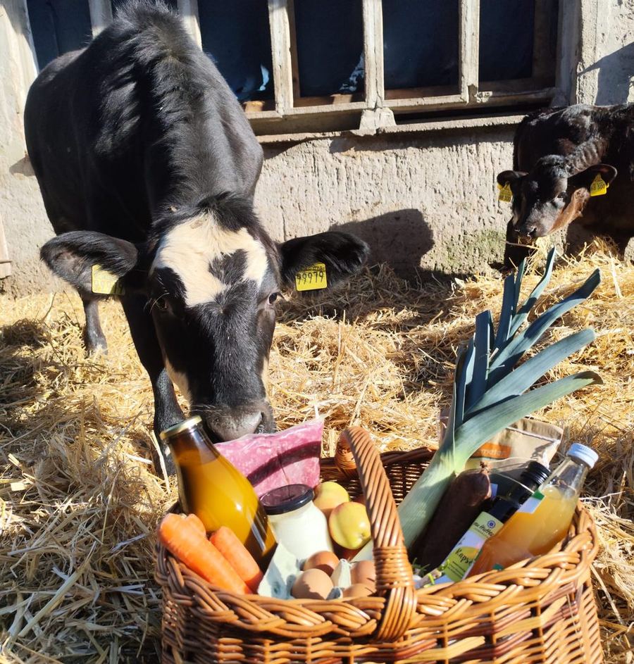 Korb mit Hofladenprodukten von Hofgut Pulsitz, im Hintergrund ein neugieriges Kalb
